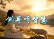 【原创诗歌】《侧耳听智慧》  风格名称： 沉思敬拜 / Contemplative Worship