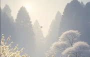 🔥烈火读经🔥  布勒月8日 (20261019)  七日第2日
