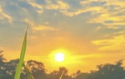 🔥烈火读经🔥  提斯利月6日 (20260918)  七日第6日 (周四)