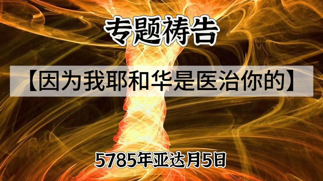 WhatsApp 图像2025-03-04于21.51.44_4e14af19.jpg