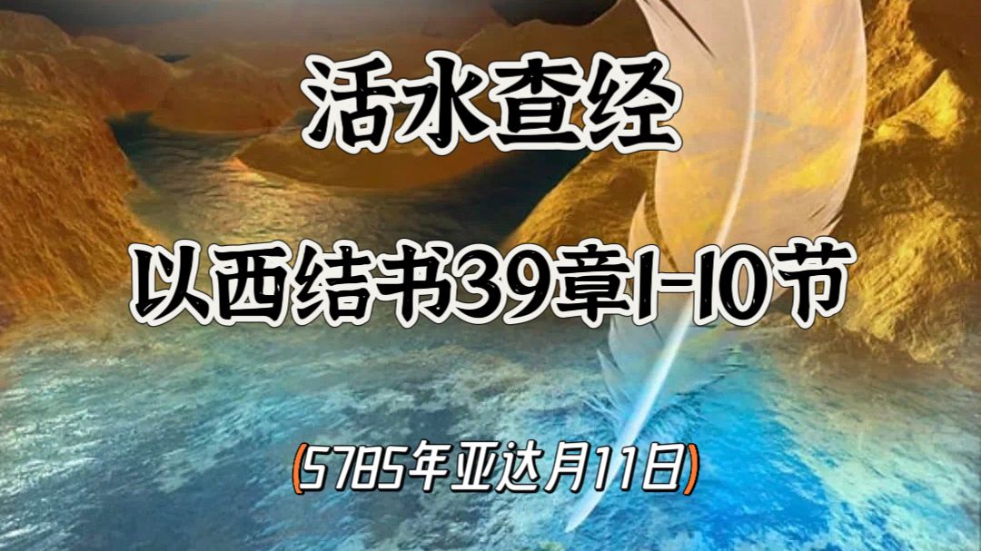 WhatsApp 图像2025-03-10于22.05.55_4e319d1f.jpg