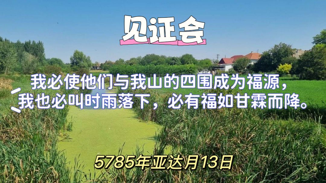 WhatsApp 图像2025-03-12于22.37.39_522e72ca.jpg