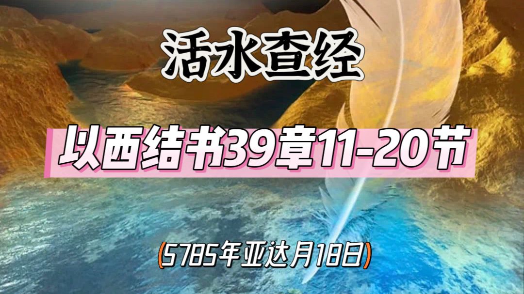 WhatsApp 图像2025-03-17于21.34.46_efe2d542.jpg