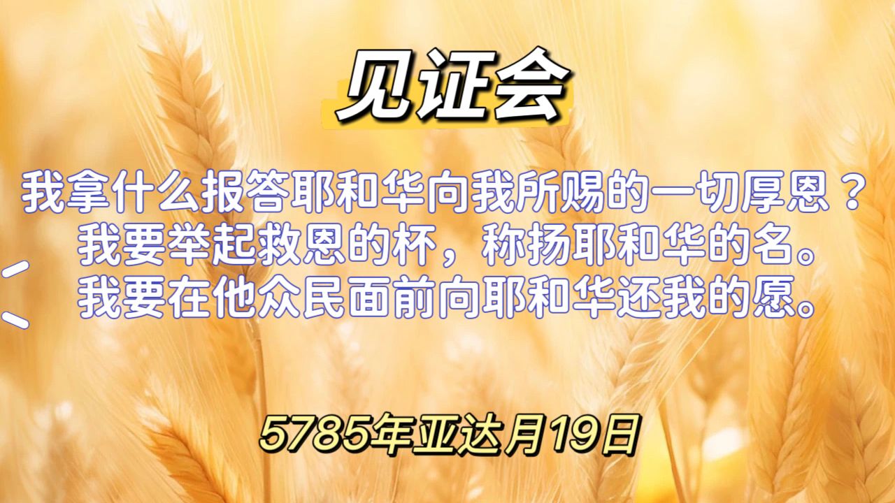 WhatsApp 图像2025-03-19于21.25.08_6fd30c89.jpg