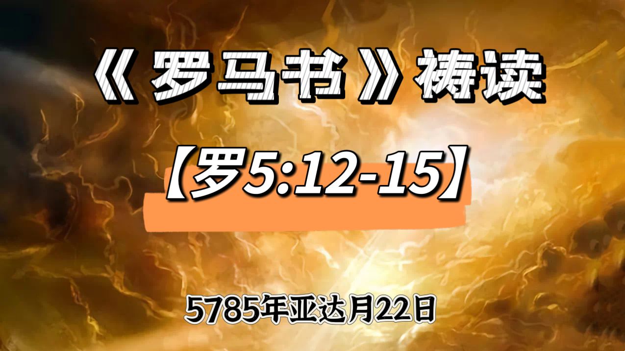 WhatsApp 图像2025-03-21于21.12.10_4738ff9f.jpg