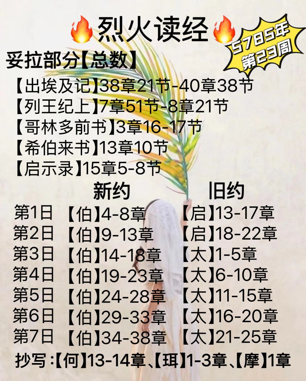 WhatsApp 图像2025-03-22于19.43.10_201f8804.jpg