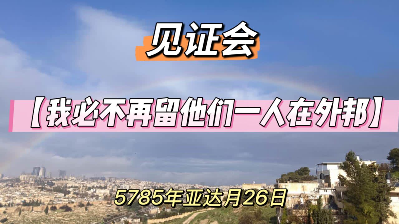 WhatsApp 图像2025-03-25于21.36.27_451f0a11.jpg