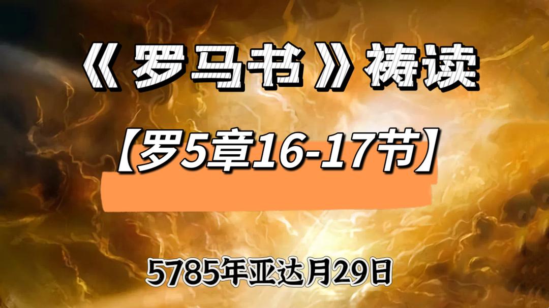 WhatsApp 图像2025-03-28于22.12.29_8ad23507.jpg