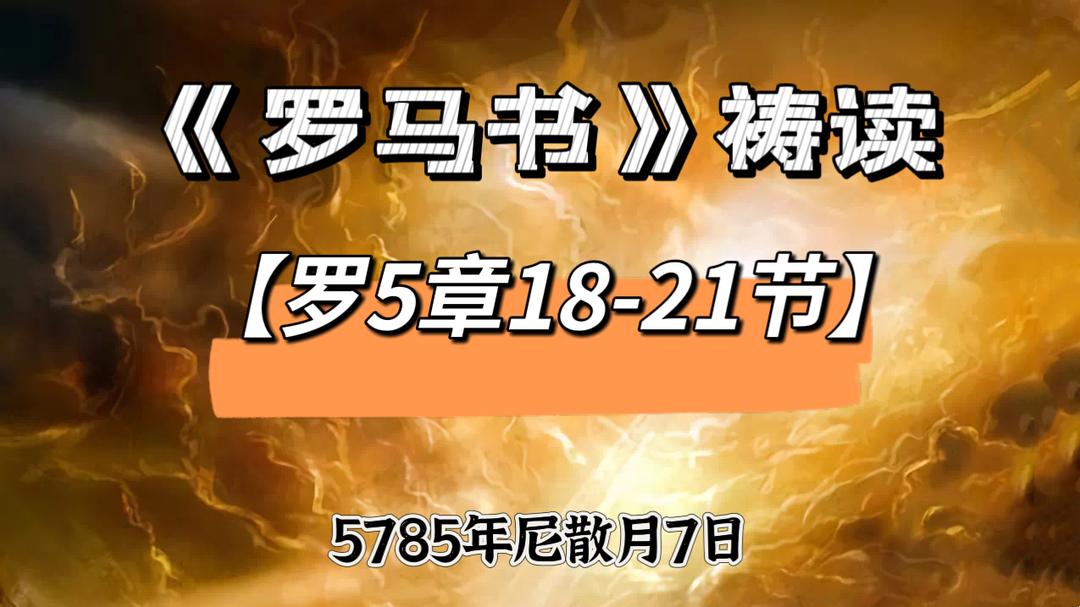 WhatsApp 图像2025-04-04于21.17.00_62846a97.jpg