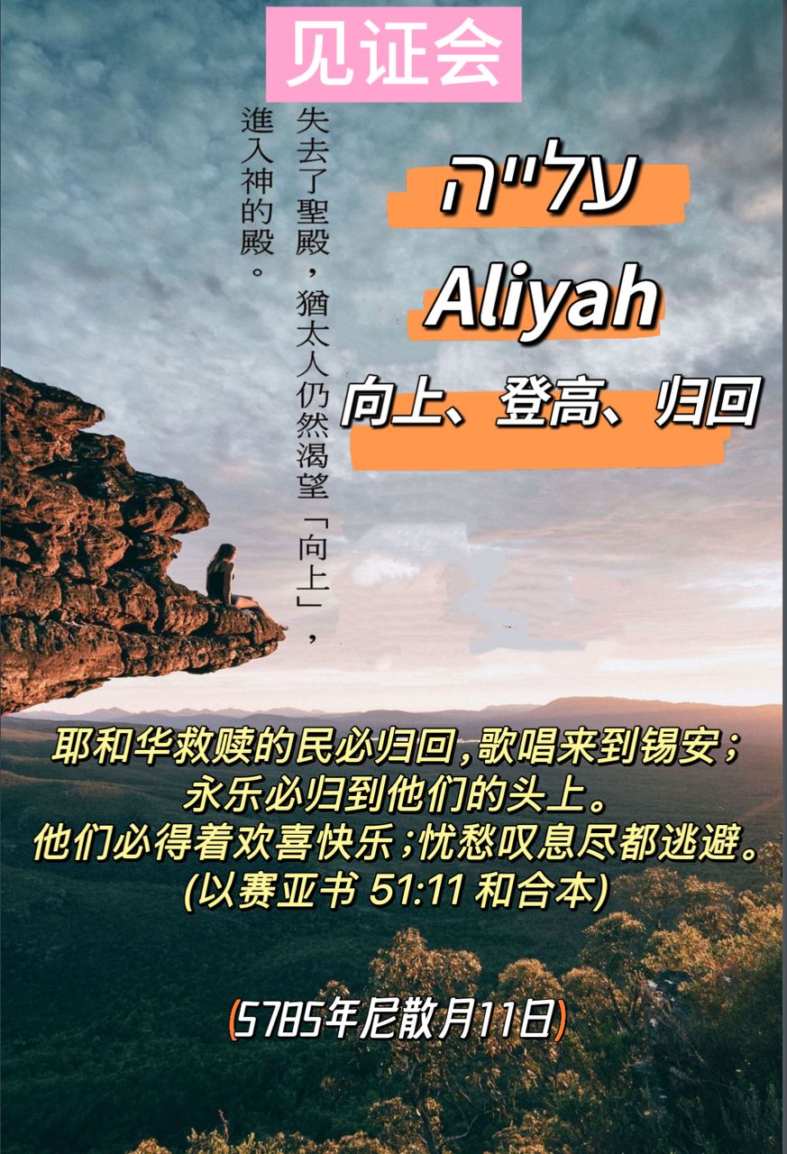 WhatsApp 图像2025-04-08于20.48.50_3b340813.jpg