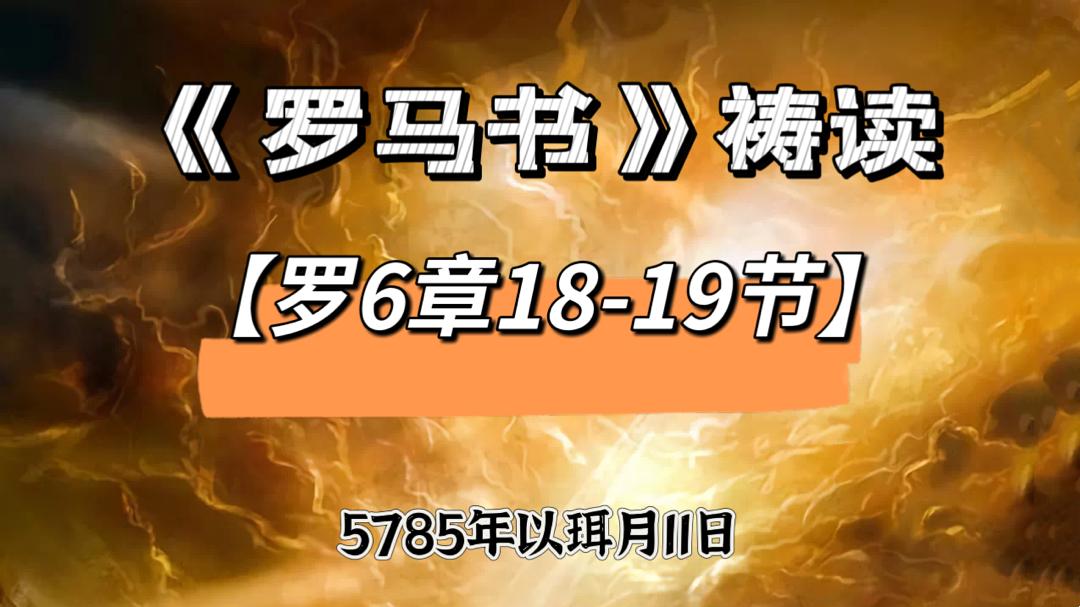 WhatsApp 图像2025-05-09于21.52.12_75227de1.jpg