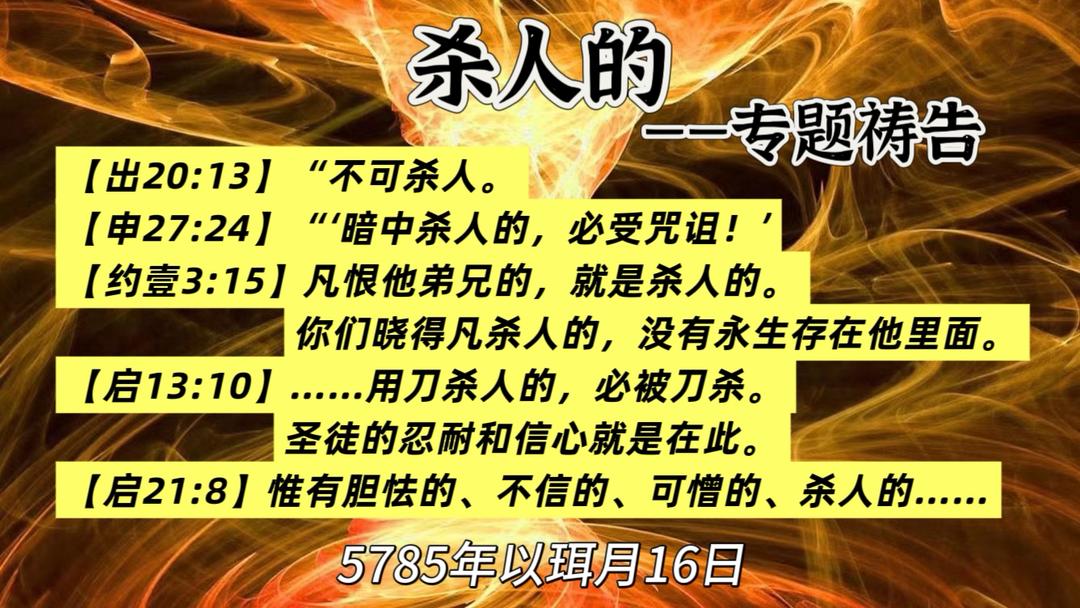 WhatsApp 图像2025-05-14于21.52.15_b471a3a1.jpg