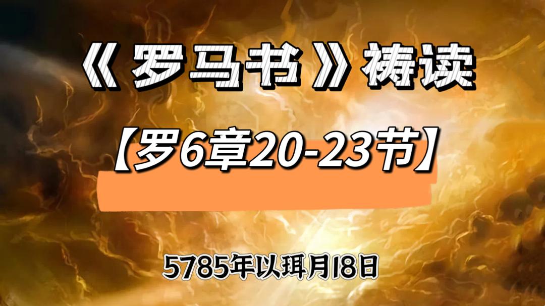 WhatsApp 图像2025-05-16于21.01.38_522c2359.jpg