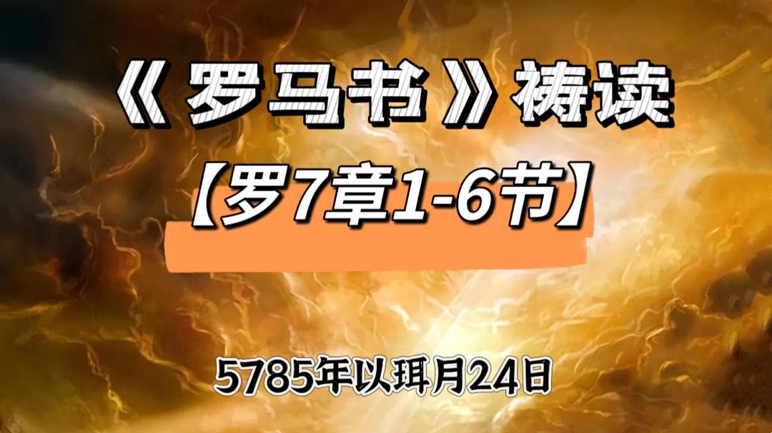 WhatsApp 图像2025-05-22于21.48.08_6b41ad55.jpg