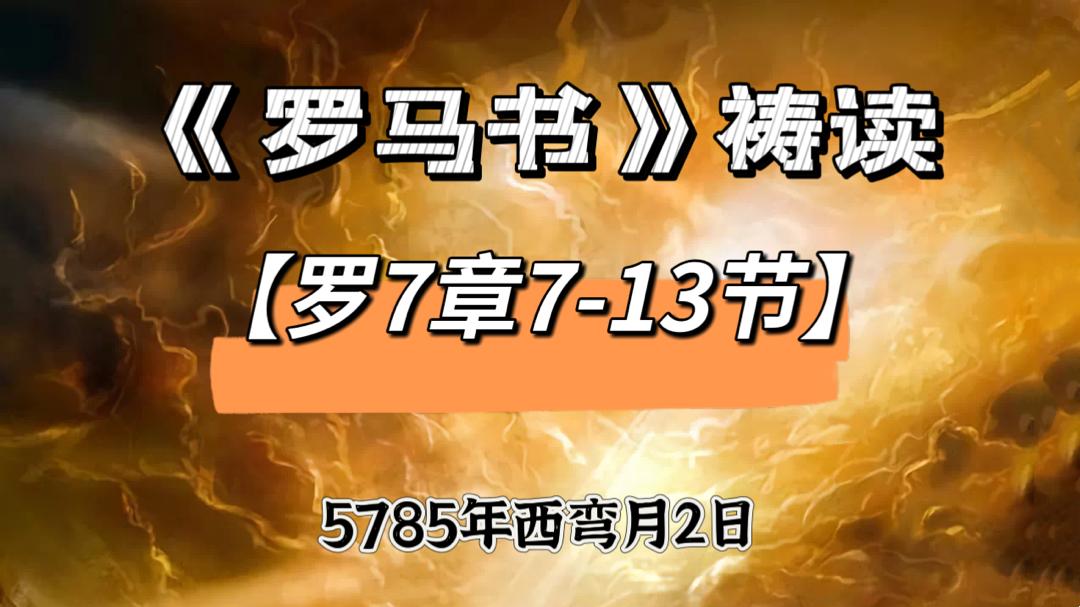 WhatsApp 图像2025-05-29于21.49.26_8e924ee1.jpg