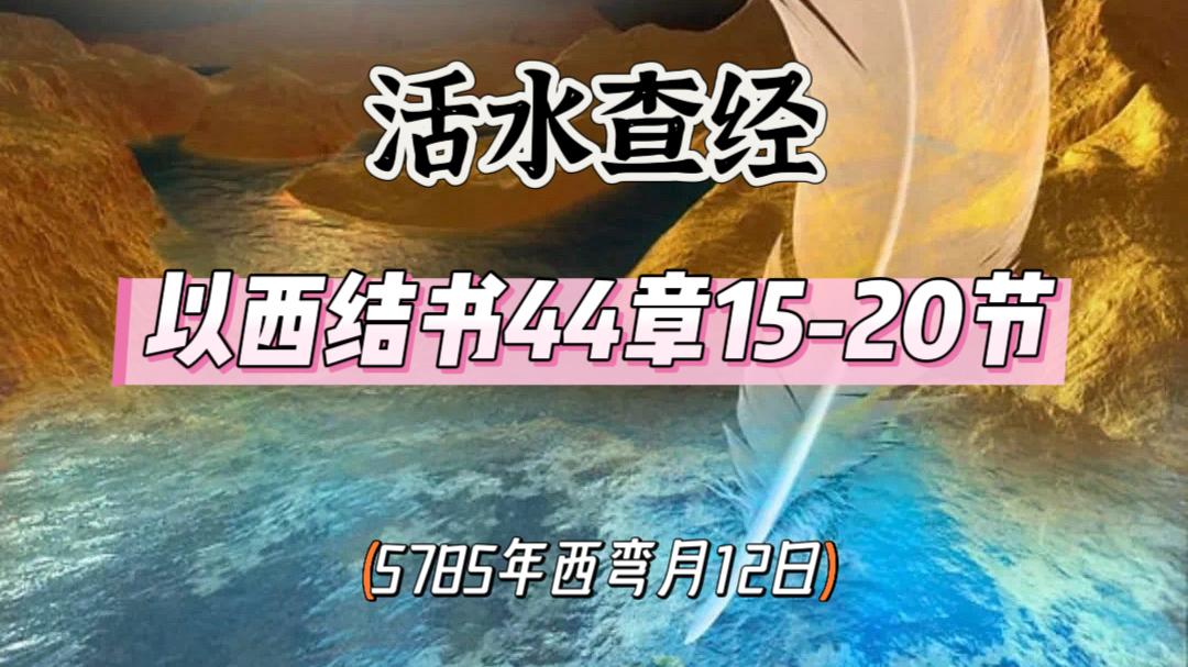 WhatsApp 图像2025-06-09于21.59.10_35b11eeb.jpg