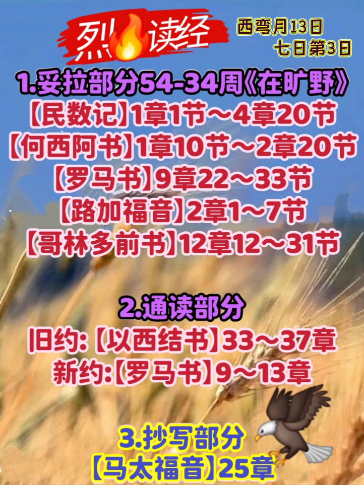 1000143077.jpg