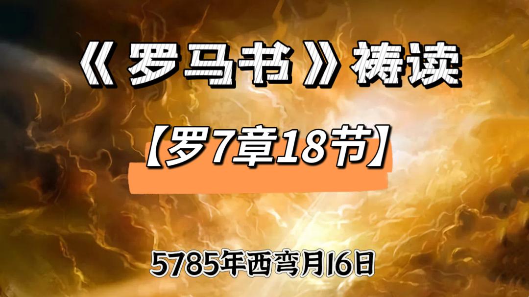 WhatsApp 图像2025-06-12于22.27.18_681657f3.jpg