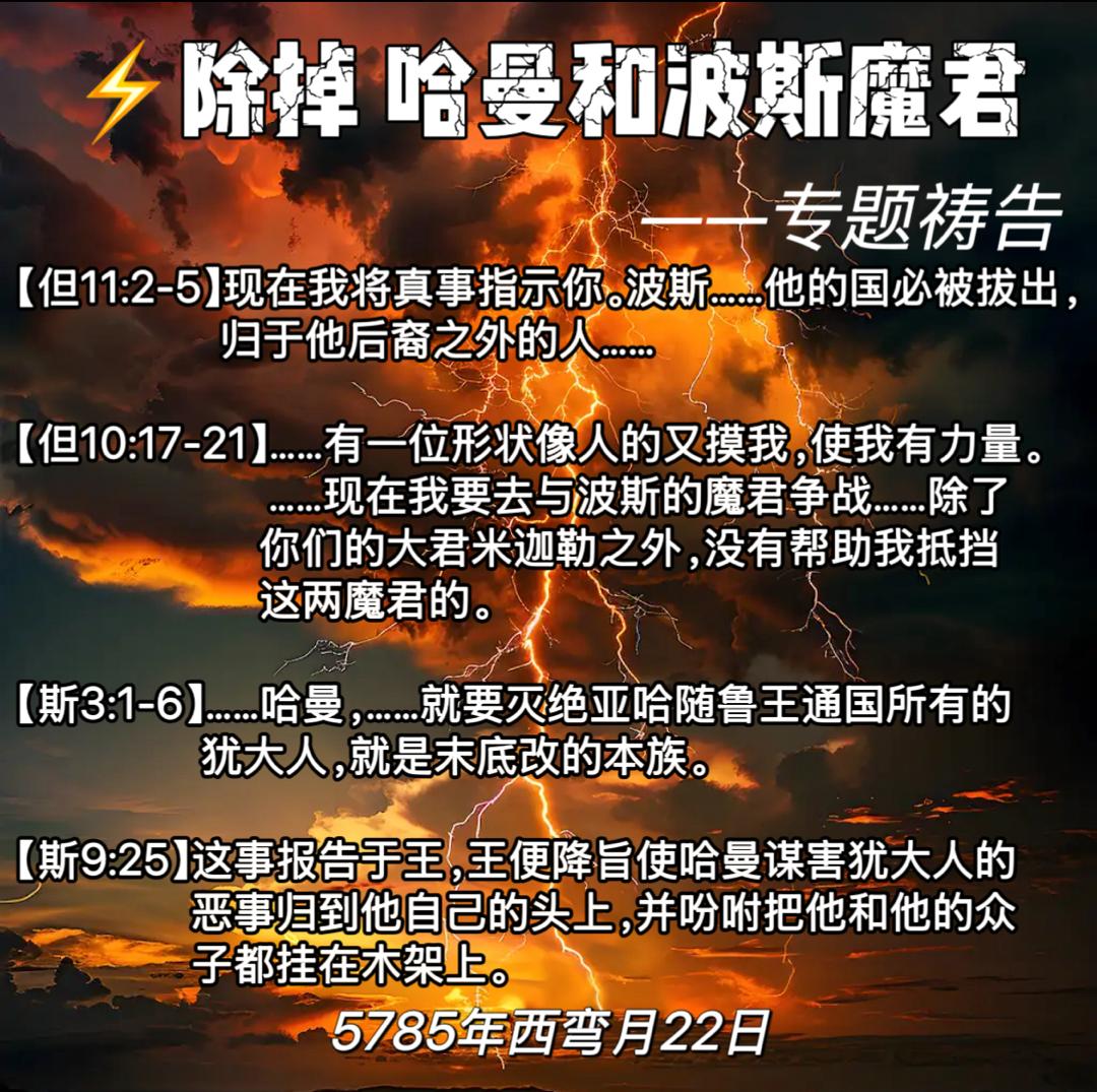 WhatsApp 图像2025-06-18于21.57.27_e74982f3.jpg