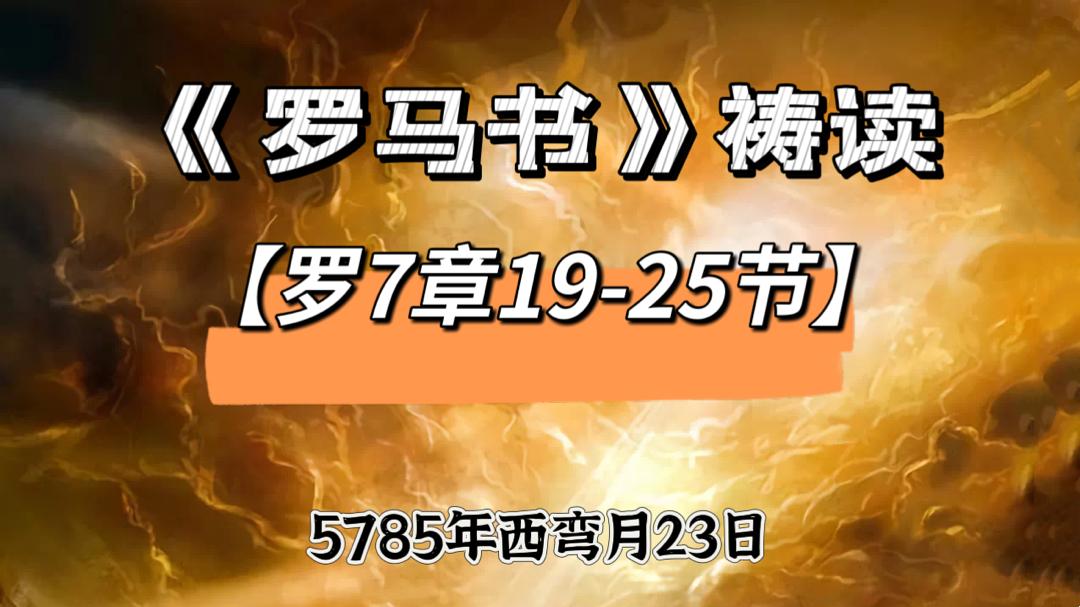 WhatsApp 图像2025-06-19于21.59.14_5fcc9f04.jpg