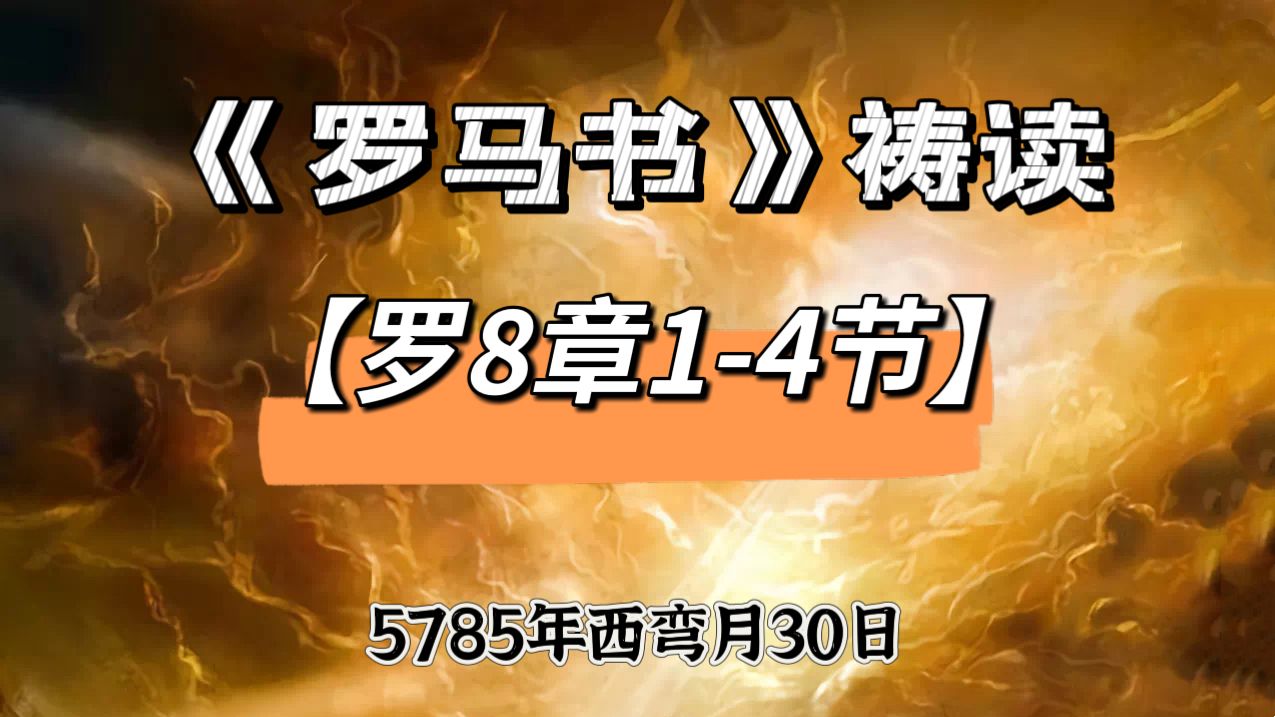 WhatsApp 图像2025-06-26于23.08.12_6eb775da.jpg