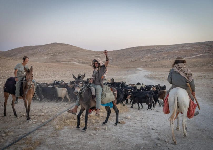 以色列财政部长斯莫特里奇正在犹太和撒玛利亚地区推动变革，通过从军人统治向文官统治过渡，结束长期的“安 ...